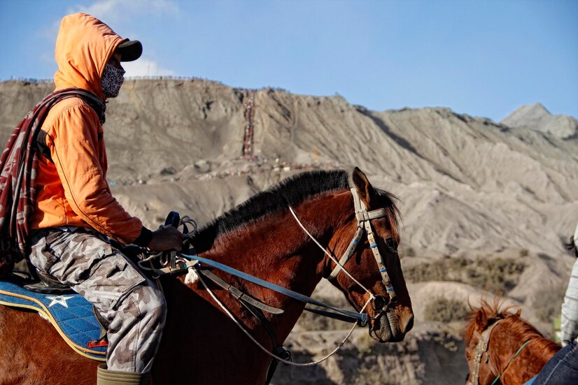 Discover young guide top horse watching bromo volcano 242111 16058